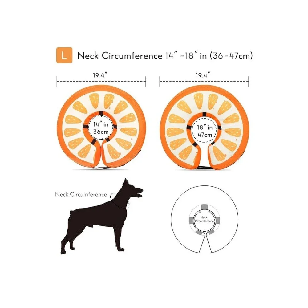 Unbranded dog cone